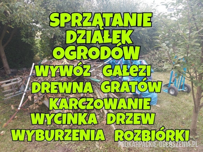 Sprzątanie działek ogrodów wycinka drzew Rzeszów tel 692120020 - Ogłoszenia Całe Podkarpackie